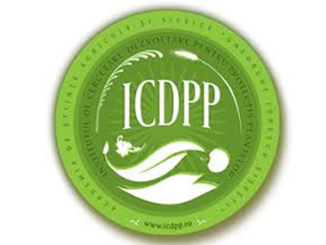 ICDPP